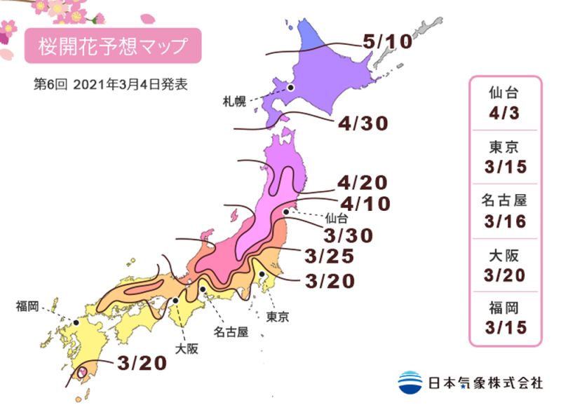 cập nhật lịch hoa anh đào nở 2021 và những điề